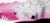 Banner de Jacquebella Store