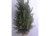 MINI PINHEIRO VERDE 37CMX21CM - comprar online