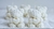 Velas Decorativas Ideales Para Decorar y Sourvenir - Studio Mantra