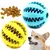 Brinquedos para cães - Bola de borracha que treina e auxilia na limpeza dos dentes - comprar online