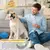 Botões Graváveis para Treinamento de Cães | Willstar | Com Luz e Gravação de Voz | Brinquedo Interativo Pet - loja online