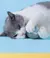 Bola Interativa Inteligente para Gatos – Diversão que se Move Sozinha! - Shopolis