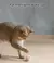 Bola Interativa Inteligente para Gatos – Diversão que se Move Sozinha! - comprar online