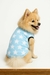 SUÉTER ESTRELA PARA CACHORRO - ATELIE DO PET - comprar online