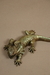 Lagarto dragão babado P - loja online
