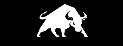 Bulls Suplementos