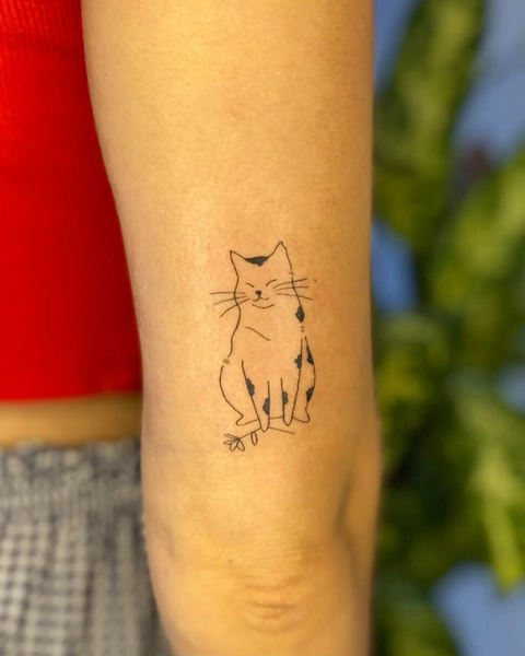 Retrato gato