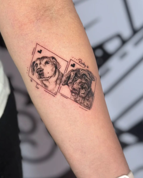 Retrato perro