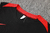 Imagem do Conjunto Portugal Regata + Short Nike