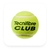 Tubo de pelotas Tecnifibre CLUB en internet