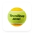 Tubo de pelotas Tecnifibre Mini en internet