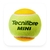 Pelotas Tecnifibre Mini (Bolsa de 36 pelotas) en internet