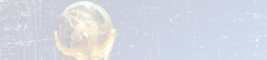 Banner de la categoría Mundiales