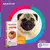 BRAVECTO 250MG (4,5 A 10KG) na internet