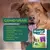 DRONTAL PLUS SABOR CARNE 10KG 4CP na internet