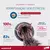 MILBEMAX GATO P 2KG 2CP - Pri Pets