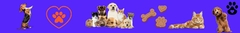 Banner da categoria Mundo Pet