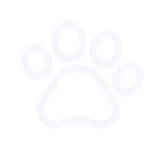 Crea un momento de conexión íntima. Cada sistema incluye un corazón de madera para grabar su nombre y un poema, transformando la despedida en un ritual de amor y gratitud.