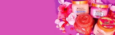 Banner da categoria Tree Hut