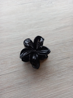 Broches hawaianas en internet