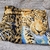 Mantas Plush 2½ pl. Estampadas en internet