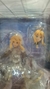 Fate/Stay Night - Saber 1/8 Scale Painted Satoshi Toda (Good Smile) Figure ORIGINAL