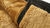 Casaco Smith - loja online