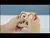 PUZZLE FINGER TOYS OCHO