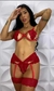 Conjunto Adriana