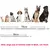 Coleira plástica Vip para cão e gato, pet completa, pequeno, médio e grande, Antiparasitas - HOME TECH SHOP