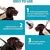 Imagem do Coleira plástica Vip para cão e gato, pet completa, pequeno, médio e grande, Antiparasitas