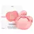 Perfume Nina Ricci NinaRose Feminino eau de Toilette - comprar online