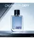 Perfume Calvin Klein Defy Eau De Toillete - loja online