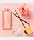 Imagem do Perfume Lancôme Idôle Feminino Eau de Parfum