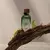 Vetiver Terra Adolfo Dominguez - Perfume Masculino - Eau de Parfum - Alphora Importados