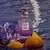 Perfume Coach Dreams Moonlight Eau de Parfum Feminina