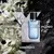 Y Yves Saint Laurent Perfume Masculino EDT - Alphora Importados