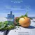 Man Aqua Jimmy Choo Perfume Masculino Eau de Toilette - loja online