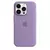 Capas de Silicone Originais Oficiais da Apple para iPhone 12, 13, 14, 15, e 16 PRO MAX - Ágape STORE