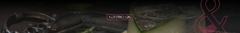 Banner de la categoría GIN