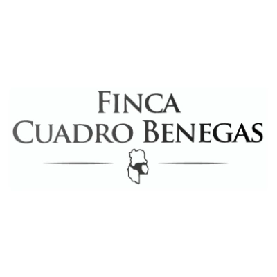 Marca 5 de Vino y alma