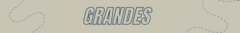 Banner de la categoría GRANDES