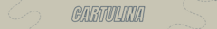 Banner de la categoría CARTULINA