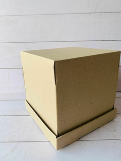 CAJA 20X20X20CM MICROCORRUGADO- AUSTRIA I- 5077 - comprar online