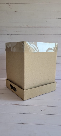 CAJA DRIP 25X25X25CM- TAPA PVC - MICROCORRUGADO MARRÓN- 5023 - comprar online