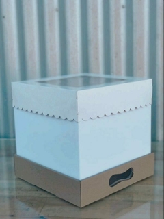 CAJA DRIP 31X31X42CM CON VISOR- 1091 - comprar online