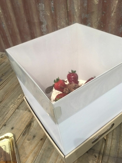 CAJA DRIP 31X31X25CM TAPA PVC- 1083 - comprar online