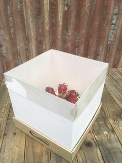 CAJA DRIP 25X25X25CM TAPA PVC- 1080 - comprar online