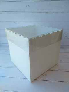 CAJA 25X25X20CM TAPA PVC- BERLIN II- 1026 - comprar online