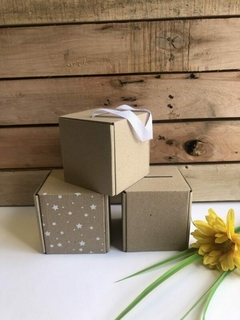CAJA BOLSA 11X11X11CM- MULTIPROPÓSITO A- 3041 - comprar online